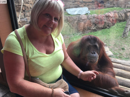 Introduction to Animal Healing And Communication Workshop - Online