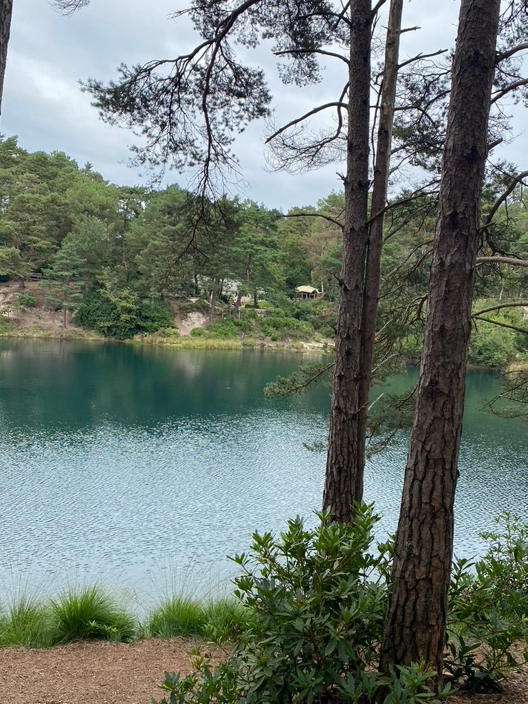 Wellness Retreat Day