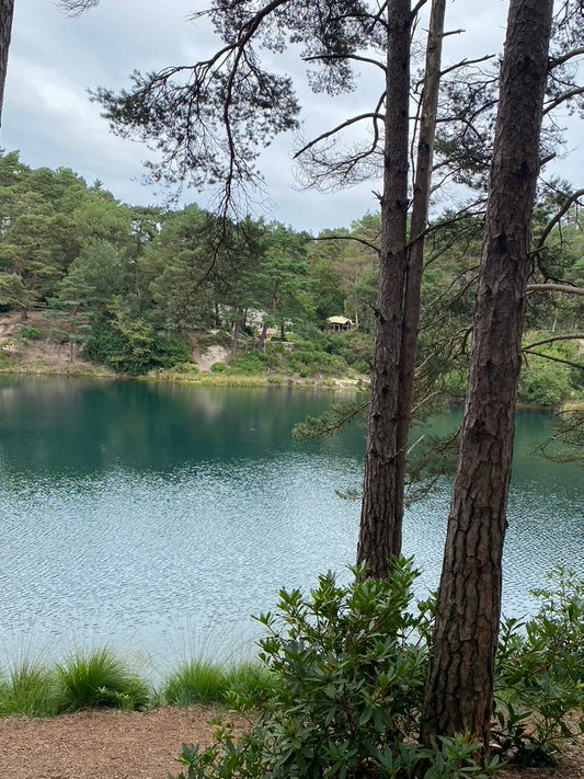 Wellness Retreat Day